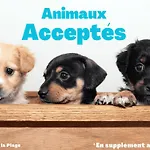 Maison Spacieuse Avec Jardin, Proche Foret Et Plage, 3 Chambres, Equipements De Loisirs, Parking Prive - Fr-1-323-435 Holiday home Saint-Jean-de-Monts